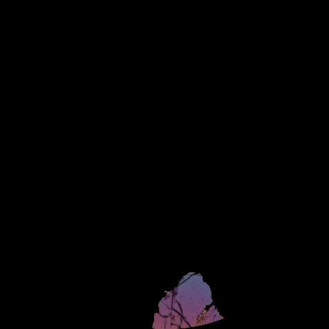 demo