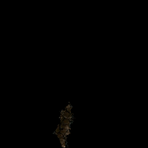 demo